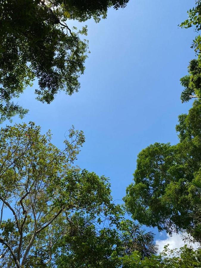 Hospedaje Casa Amazonica איקיטוס מראה חיצוני תמונה