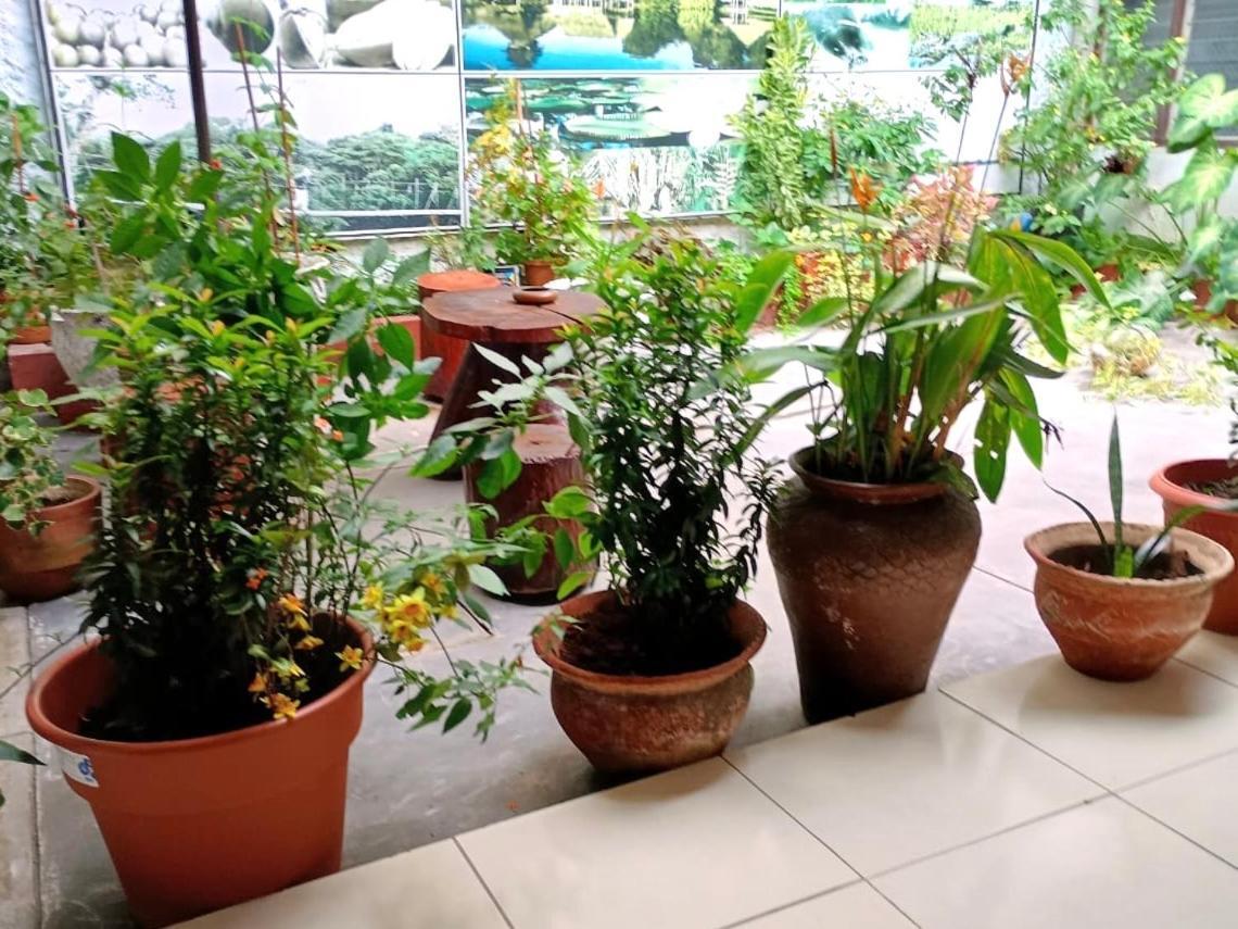 Hospedaje Casa Amazonica איקיטוס מראה חיצוני תמונה